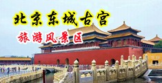 爱搞在线黄色观看中国北京-东城古宫旅游风景区